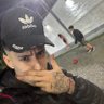 Tiziano's profile picture