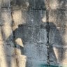 Фото профиля C_ntt