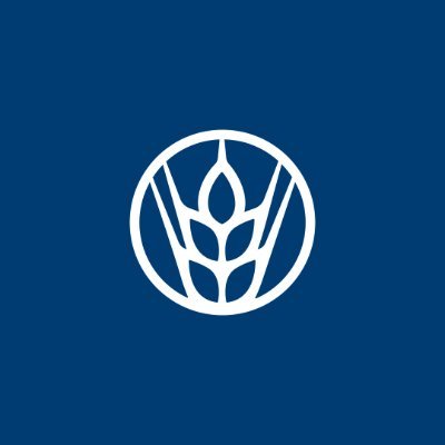 CerveceriaDom's profile picture