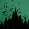 Фото профиля Black Bird