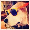 Profilbild von James W