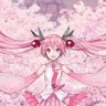ｻｸﾗ's profile picture