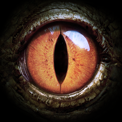Turok: Origins's profile picture