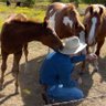 Jim Beasley's profile picture