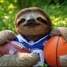lucas's profile picture