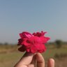 AbdulRehman Ch ๐ต๐ฐ๐ ็ๅคดๅ