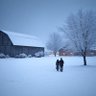 The American Farmer 的头像