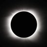 ICHBINS's profile picture