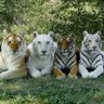Фото профиля Live a worthy life