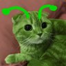 birrbo's profile picture