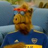 Profilbild von Nicopol