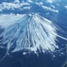 たねまる(クソコード製造機)'s profile picture