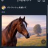 Фото профиля パトラッシュ