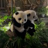 Фото профиля l ql ql l qq