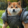 Vaidotas Fella profil fotoğrafı