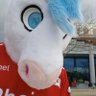 Profilbild von Nordeis