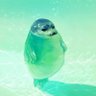 Profilbild von SEAL floating🧩