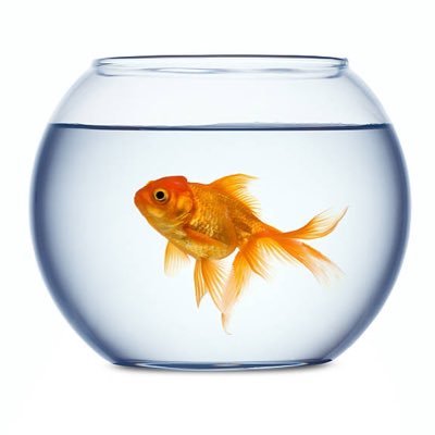 sleepyhead2342's profile picture