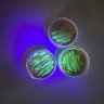Biotecnología Fácil 的头像