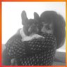 val cavallaro's profile picture