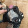 mateusg0 profil fotoğrafı