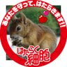 Фото профиля トムさん(メイトさん)