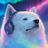 Фото профиля uzy🐕🦺オーディオの犬🐻❄️ワンワン