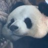 柒 的头像