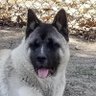 Watts profil fotoğrafı