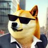 The Doge Effect's profile picture
