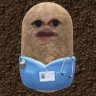 Michael 🍥's profile picture
