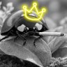 Фото профиля miss lady 🐞✨