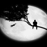 وکیلشونم's profile picture