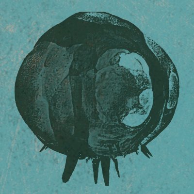 BluMarTen's profile picture
