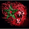 al-Maġrib 🇲🇦🇵🇸's profile picture