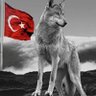 hakan 的头像
