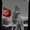 bozkurt's profile picture