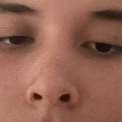 cartumante processou o nikolas ferreira e ganhou's profile picture