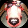 Cat-Grack profil fotoğrafı