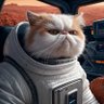 Profilbild von Ms. kitten