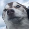 SkiJr's profile picture