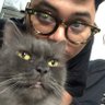 Profilbild von satya