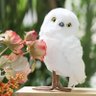 ふくろう🦉9m's profile picture