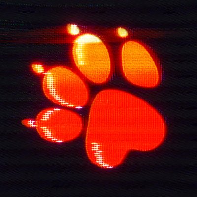 NaughtyDogJobs's profile picture