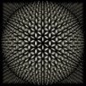 Fractalized's profile picture