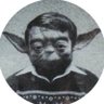 elem's profile picture