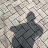 Фото профиля erik