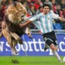 MHDMESSI's profile picture