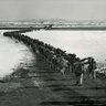 Фото профиля 大秦帝国
