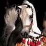 Фото профиля ........